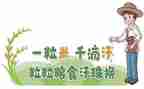 粮食节约的演讲稿5篇