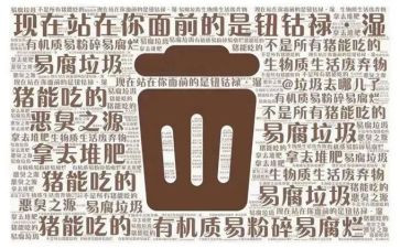 垃圾分类作文600字8篇
