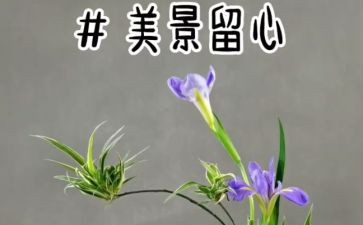 处处留心作文模板6篇