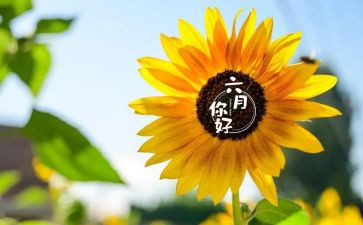 六月六教案6篇