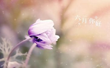六月份工作总结参考8篇