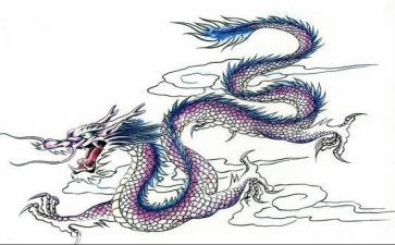 关于龙的演讲稿模板6篇