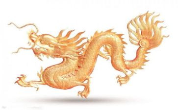 介绍恐龙的作文7篇
