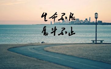 我努力的作文800字5篇