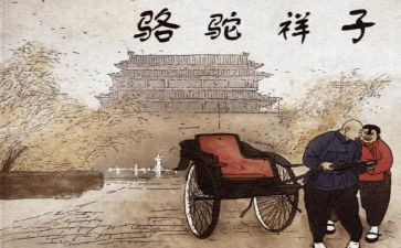老舍的骆驼心得体会8篇
