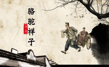 骆驼祥子10心得体会优质8篇