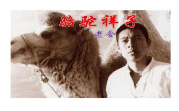 骆驼的样了心得体会通用6篇