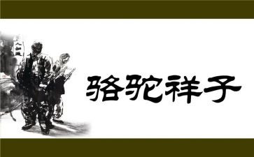 骆驼祥子10心得体会最新7篇