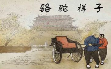 骆驼读后感300字7篇