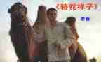 骆驼祥子10心得体会5篇