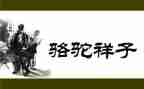 《骆驼祥子》心得体会800字8篇