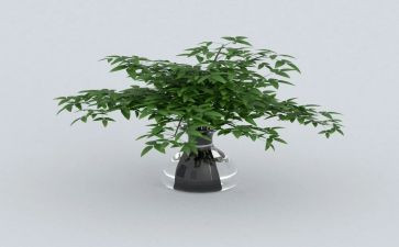西湖的绿读后感8篇
