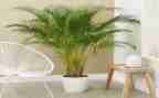 种植绿化合同5篇