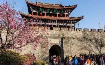 旅游公司工作计划8篇