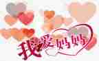 我的偶像妈妈作文600字5篇
