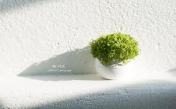 《声声慢》教案8篇