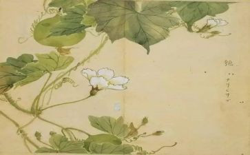 氓的心得体会800字精选8篇