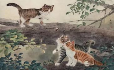 《猫》的启示作文400字通用8篇