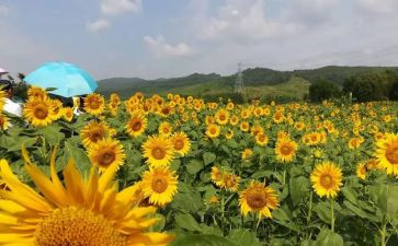 美德少演讲稿精选5篇