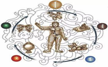 蒙医医师个人述职报告精选8篇