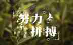 名人故事传读后感8篇