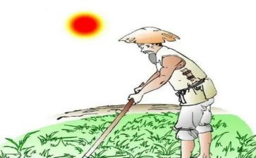 悯农一的教案推荐7篇