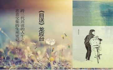 目送龙应台读后感7篇
