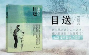 关于目送的作文7篇