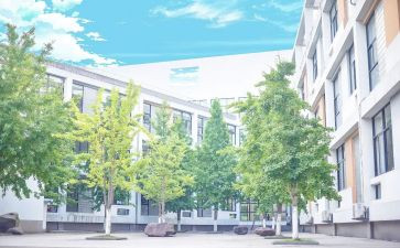 感恩母校和老师的演讲稿5篇