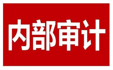 局2023内审工作计划8篇