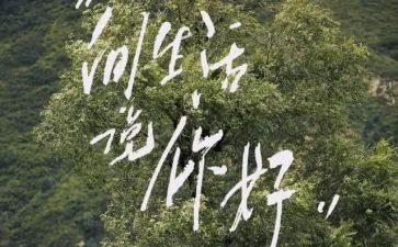 你好2024年作文推荐5篇