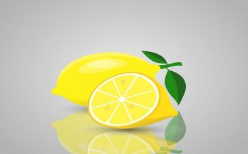 柠檬碟读后感5篇