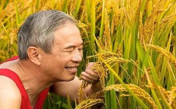 农夫和蛇的心得5篇
