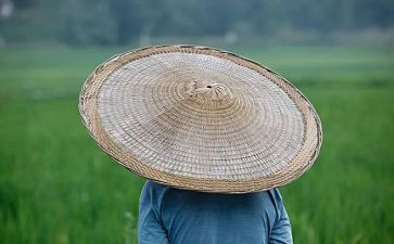 蛇和农夫读后感优质8篇