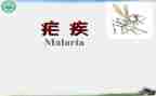 全国疟疾日宣传活动总结5篇