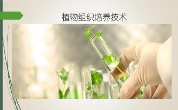 培养孩子的心得体会范文8篇