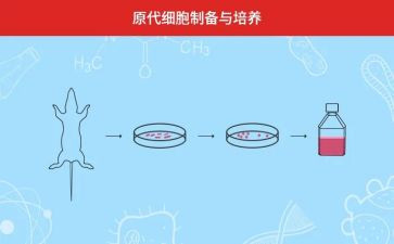 我培养演讲稿5篇