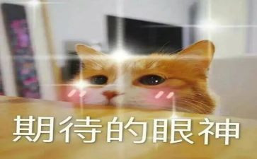 我期待____作文精选8篇