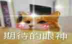 我期待____作文精选8篇