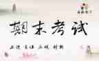 幼师期末个人总结7篇