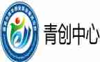 乡村青创心得体会通用5篇
