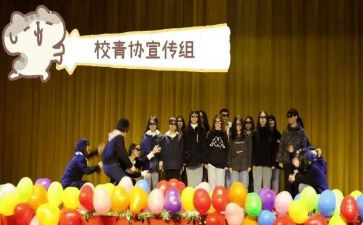 青招活动策划精选5篇