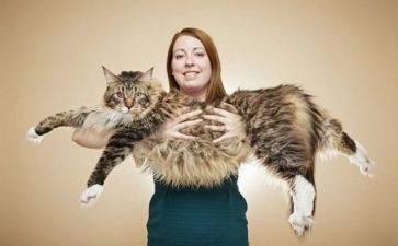 俗世奇人读后感600到800字8篇