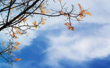 春秋节作文500字模板6篇