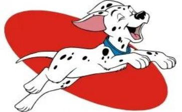 犬只管理工作总结模板6篇