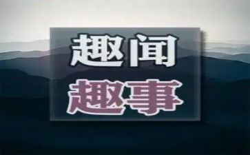 假期的趣事作文最新5篇