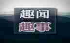 假期的趣事作文最新5篇