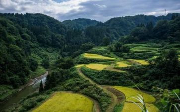 饶才富事迹最新6篇