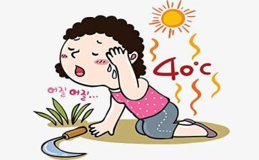 热带雨林探险500字作文6篇