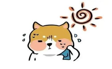 炎热的夏天作文通用8篇
